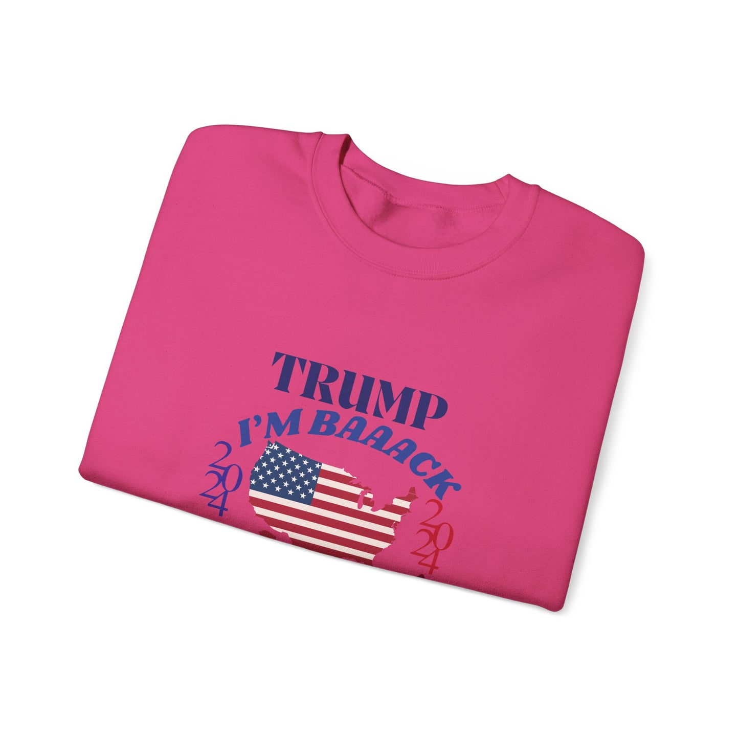 Funny 2024 Trump Election Unisex Sweatshirt,