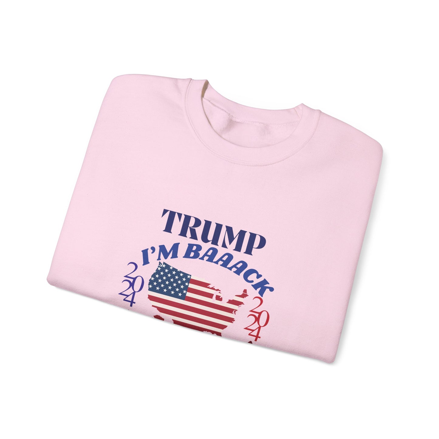 Funny 2024 Trump Election Unisex Sweatshirt,